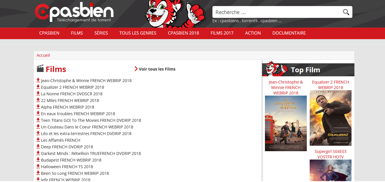 C Pas bien le site de torrents fermé ? Quelles alternatives